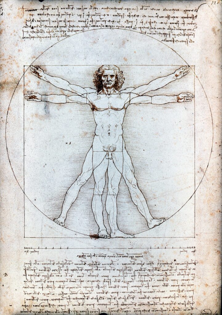 1520px vitruvian man by leonardo da vinci